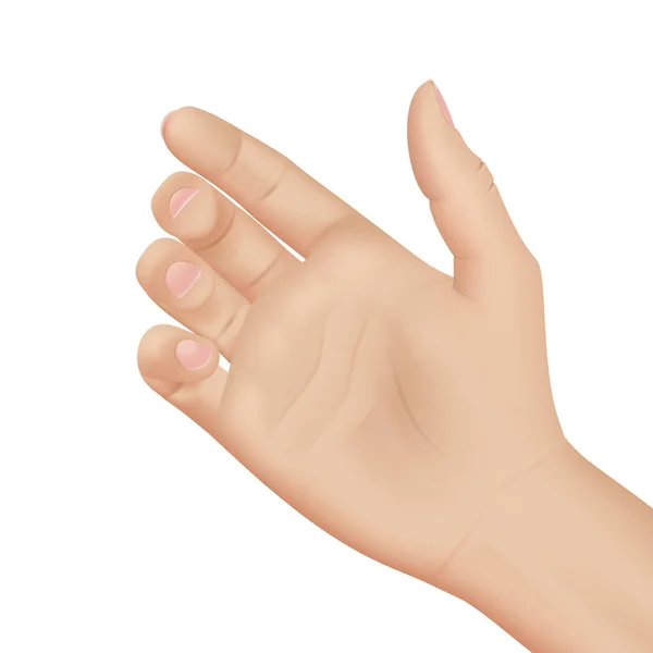 Γυναίκα Χέρι Λευκό Φόντο Ρεαλιστική Διανυσματική Απεικόνιση Γκρο Πλαν — Διανυσματικό Αρχείο