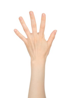 Kadın eli, beyaz arka planda parmak sayımını gösteriyor.