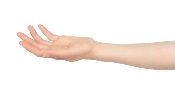 Mulher Mão Mostra Virtual Segurando Algo Fundo Branco Close — Fotografia de Stock