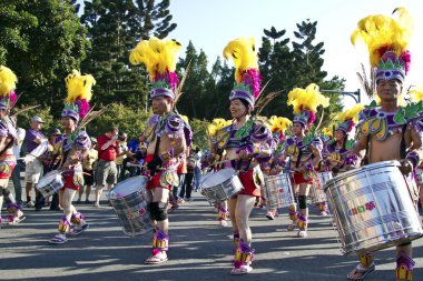 Samba dansçısı karnaval