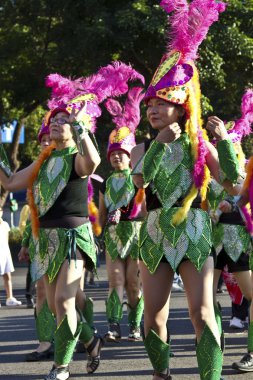 Samba dansçısı karnaval