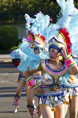 Samba dansçısı karnaval