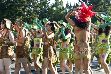 Samba dansçısı karnaval