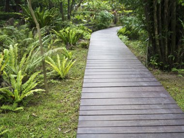 ahşap yürüyüş yolu