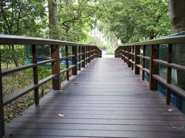 Sentier de promenade en bois — Photo