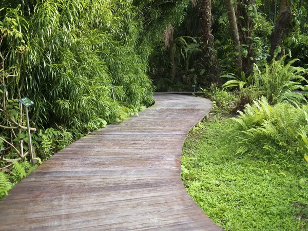 Wooden walk path — Stock Photo, Image