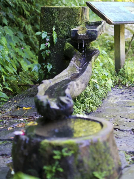 Wooden spring container — Stock Photo, Image