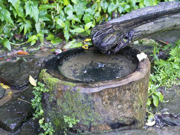 Wooden spring container — Stock Photo, Image