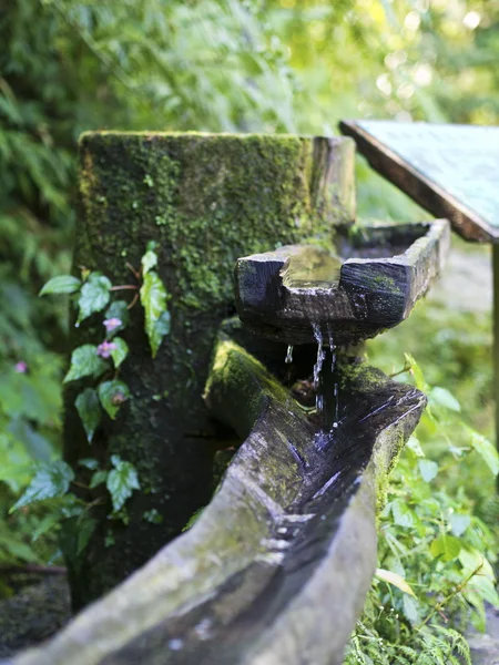 Holzfederbehälter — Stockfoto