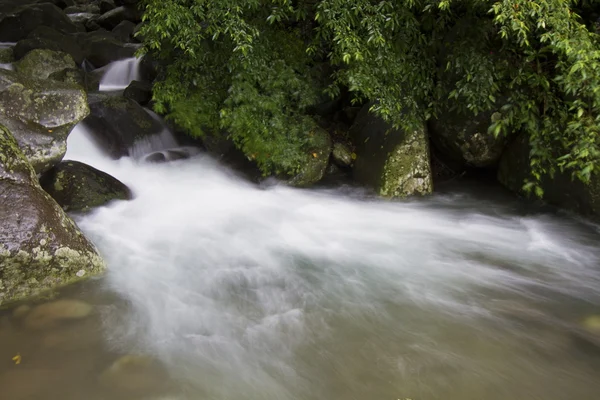 Natuurlijke stream — Stockfoto