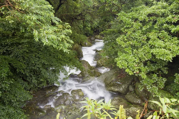 Natuurlijke stream — Stockfoto