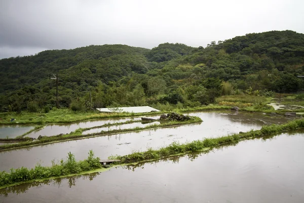 田園風景 — ストック写真