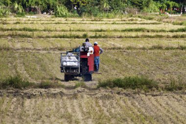 Tarım yetkisiz kullanım alanı
