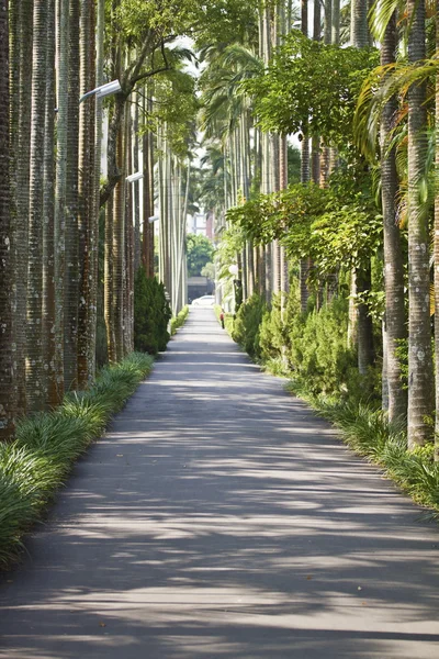 Path in park — Stock Photo, Image