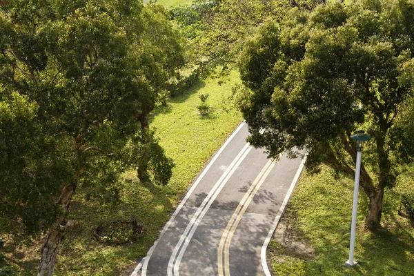 Parque verde — Foto de Stock