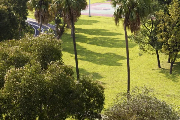 Grön park — Stockfoto