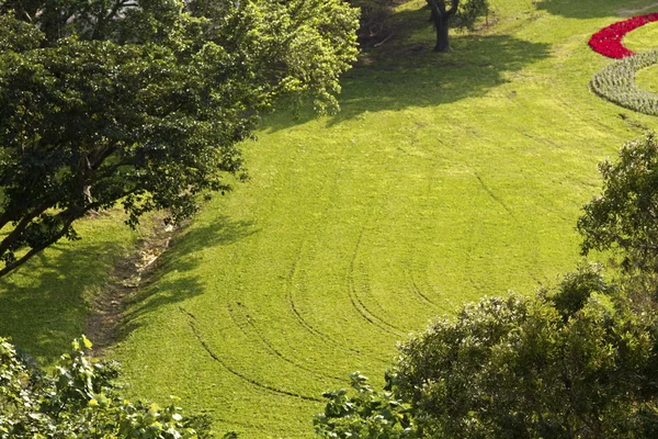 Green park — Fotografie, imagine de stoc