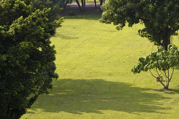 Parque verde — Foto de Stock