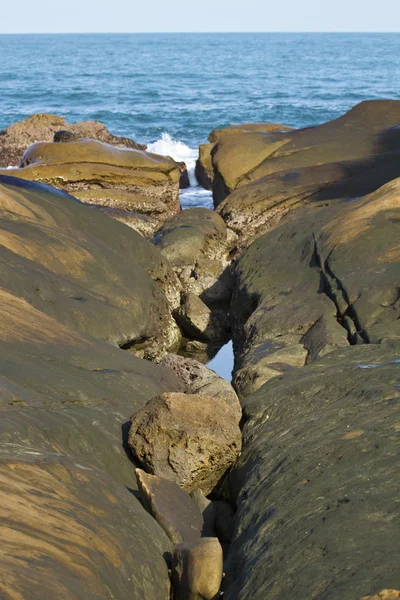 Piedra fúngica — Foto de Stock