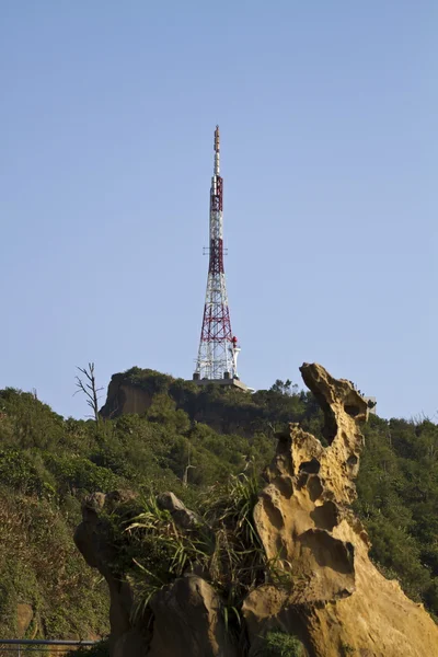 Yeşil park — Stok fotoğraf