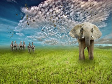 otlaklar yaban hayatı ile