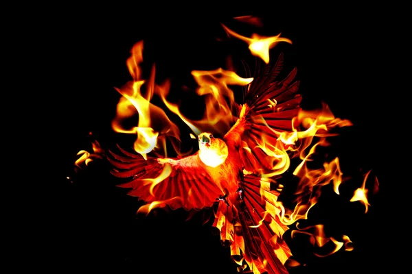 Ashes phoenix,the art — Stock Photo, Image