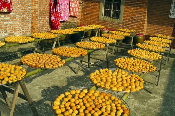 Persimmons pod światło słoneczne — Zdjęcie stockowe