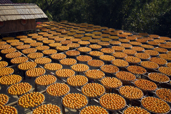 хурма под солнечным светом
