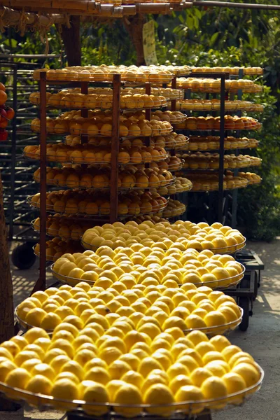 Persimmons pod światło słoneczne — Zdjęcie stockowe