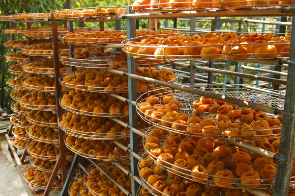 Persimmons under sunlight — Stock Photo, Image