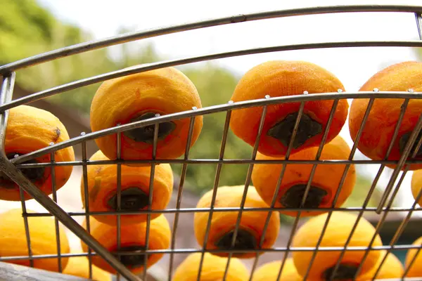 Persimmons pod światło słoneczne — Zdjęcie stockowe