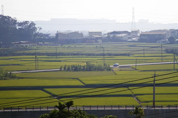 Azienda agricola rurale — Foto Stock