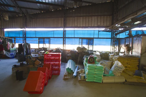 Interior de fazenda de frango — Fotografia de Stock