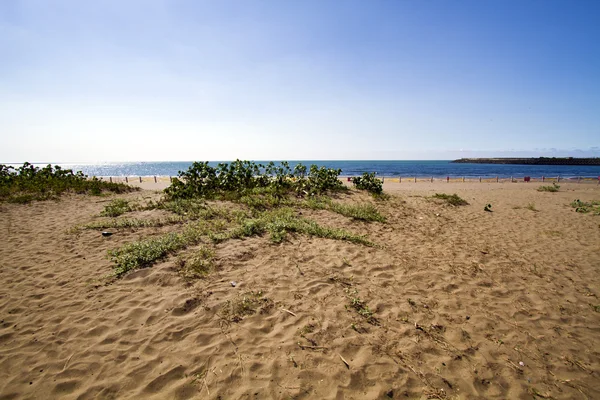 Praia de areia por mar — Fotografia de Stock