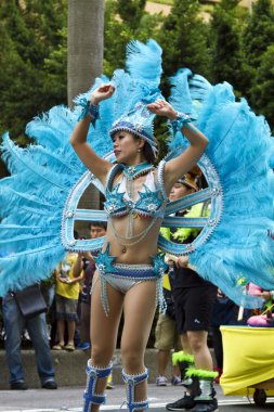 2013 samba rüya karnaval geçit
