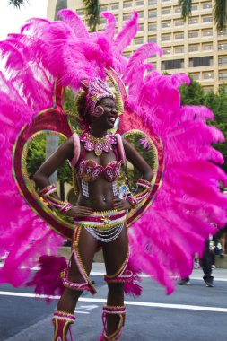 2013 samba rüya karnaval geçit