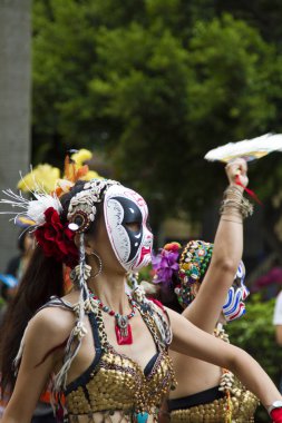 2013 samba rüya karnaval geçit