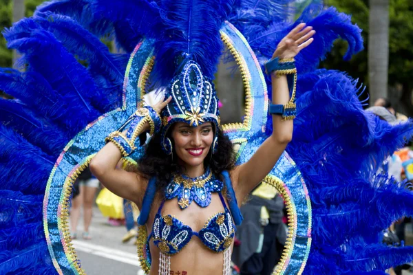 Samba-Traum-Karnevalsumzug 2013 — Stockfoto