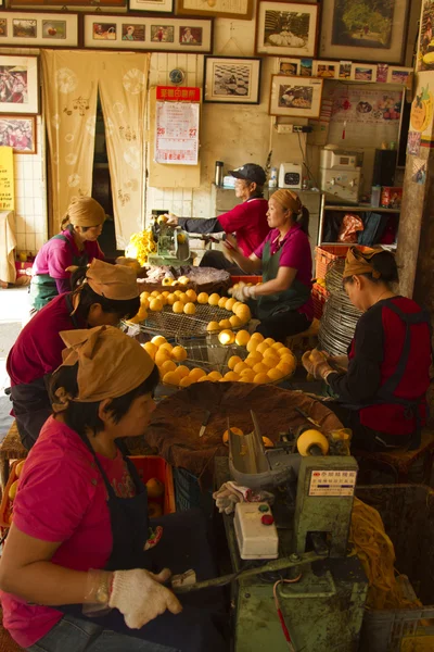 Worker in persimmon processing — Stock Photo, Image