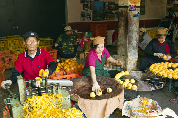 работник по переработке хурмы
