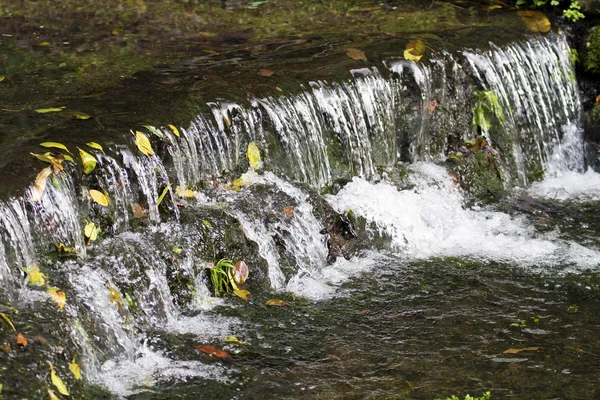 Güzel şelale — Stok fotoğraf