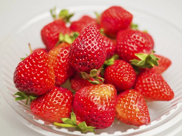 Frische Erdbeeren — Stockfoto