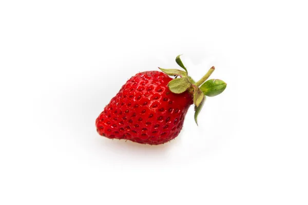 Frische Erdbeeren — Stockfoto