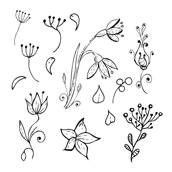 Ensemble d'éléments floraux dessinés à la main — Image vectorielle