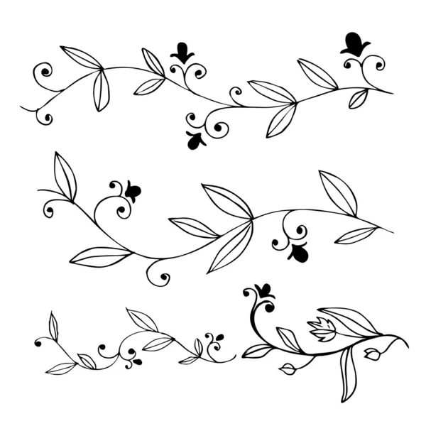 Hand drawn floral design elements set — Stock Vector