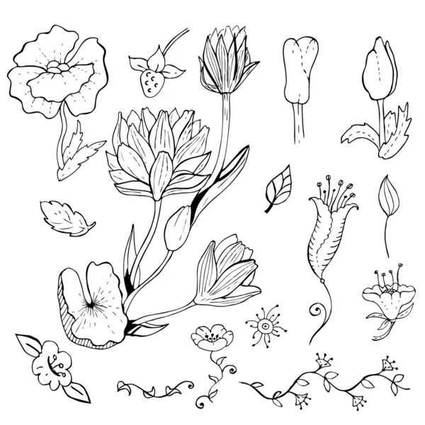 Hand drawn floral design elements set — Stock Vector