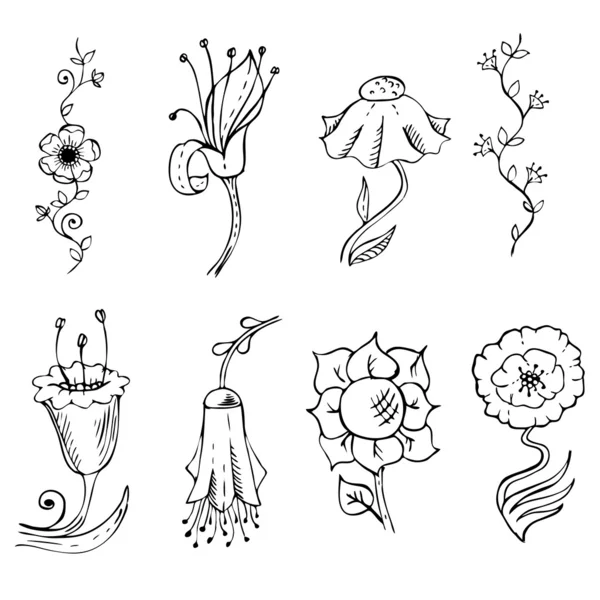 Hand drawn floral element collection — Stock Vector