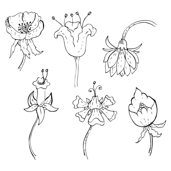 Elementos florales dibujados a mano — Vector de stock