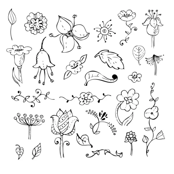 Hand drawn floral design elements set — Stock Vector