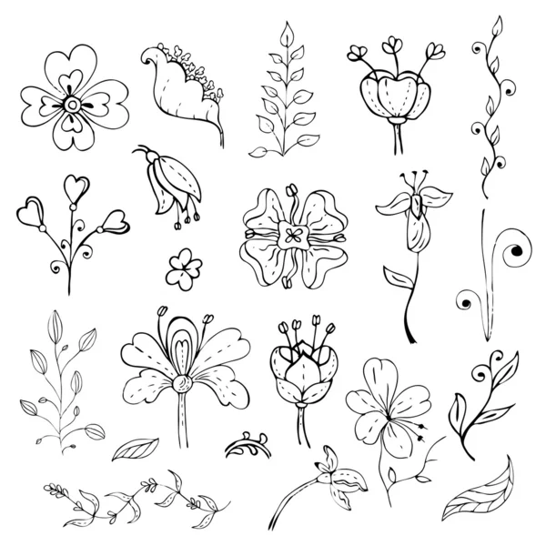 Conjunto de elementos de design floral desenhado à mão — Vetor de Stock
